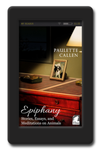 Cover of the collection of writing by Paulette Callen