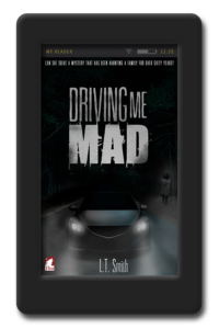 Cover of the lesbian paranormal romance Driving me Mad by LT Smith
